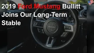 2019 Ford Mustang Bullitt Joins Our Long-Term Stable