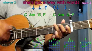 she's got a way with words blake shelton guitar chords