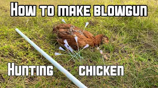 How to make simple Blowgun - Blowgun Hunting Chicken