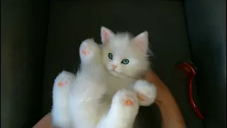 Белый кот Реалистичная игрушка из меха White cat