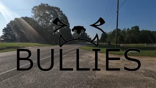 Bullies Mufflers, New from SVT