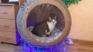 Домик для кошки из Шпагата Мастер-класс. House ball for a cat made of jute twine