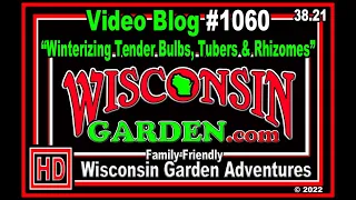 Winterizing Tender Bulbs, Tubers & Rhizomes - Wisconsin Garden Video Blog 1060