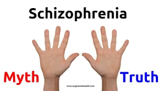 10 Schizophrenia  Myths and Truths