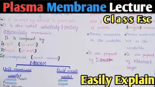 Plasma Membrane Structure And Functions | Fluid Mosaic Model | Class 11 Biology