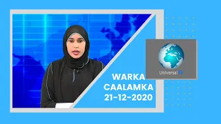 Warka Universal TV 21-12-2020