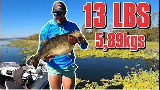 I CAUGHT THE BIGGEST BASS EVER , 13LB / 5.89KGS. A BASS of a LIFETIME !! Bass Fishing South Africa.
