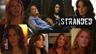 TiBette - Stranded