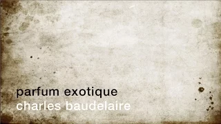 La minute de poésie : Parfum exotique [Charles Baudelaire]