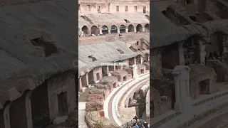 Colosseum, Rome #rome #shortsyoutube #shorts