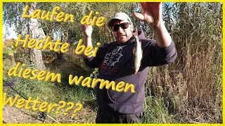 Angeln auf Hecht mit Pose im Herbst beißen die schon bei so warmen Wetter ?