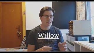 Willow- Taylor Swift (Cover by: Quinten Samison)