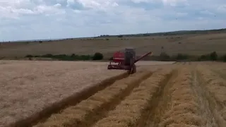Уборка пшениці Massey Ferguson 187