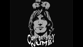 Pink Floyd Comfortably Numb Remix (Kevin Mosleen)