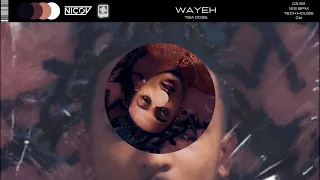THEODORT - Wayeh (NICOV Remix) [FREE DOWNLOAD]