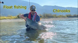 Harrison River BC Fishing for Chum, Chinooks and Coho, Oct 10, 2022