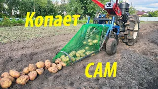 DIGGING POTATOES with a potato digger with a TAIL and INCREASED PULLEY. MOTOBLOK POTATOES ITSELF