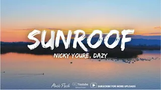 Nicky Youre, dazy - Sunroof (Lyrics) #lyrics