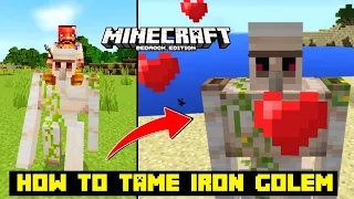 How to Tame Iron Golem in Minecraft | How to Ride Iron Golem in Minecraft