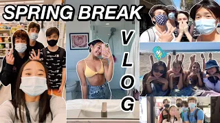 SPRING BREAK week in my life | Nicole Laeno