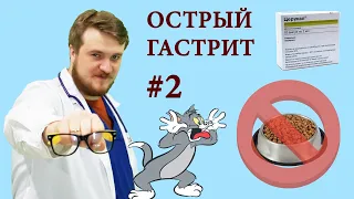 Что делать если у вашего животного рвота? ОСТРЫЙ ГАСТРИТ - ЧАСТЬ 2