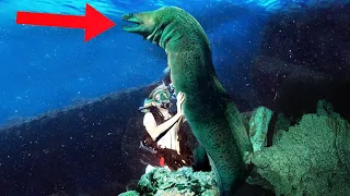 10 Times Diving Went Horribly Wrong!