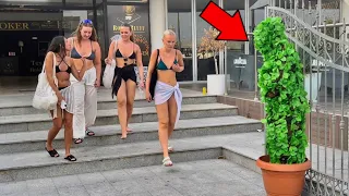 🌴 Pretty Girls Getting Scared Bushman Prank In Disguise 🥸