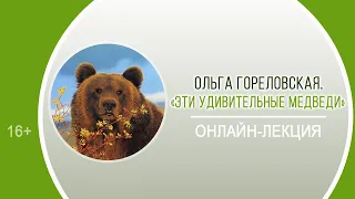 «Эти удивительные медведи» (онлайн-лекция О.Ю. Гореловской)