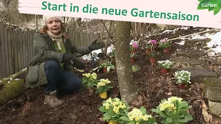 Pflanzen, Rosen schneiden, Beete gestalten: Gartenarbeiten im Frühling | MDR Garten