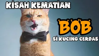 kisah Kematian Bob Si kucing Cerdas