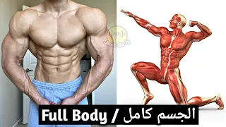 تمارين الجسم كامل بدون معدات في المنزل - Bodyweight Workout full body