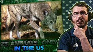 Italian Reacts To 25 U.S. Animals You Won't Find Anywhere Else