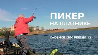 Легкий фидер на платнике. Ловим карпиков на Cadence CR10 Feeder №2 — #omskfish