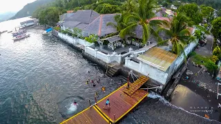 relax and dive - YOS DIVE Lembeh