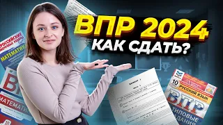 Всероссийские проверочные работы 2024 | Как готовиться?