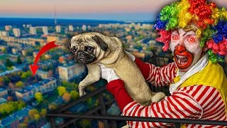 ¡EL PAYASO DE MC DONALD'S  TIRA A MI PERRO DE 100 METROS de ALTURA!