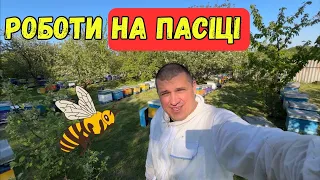 На Пасіці 🐝 Виведення маток, Обробка Ентеренорміном 🐝