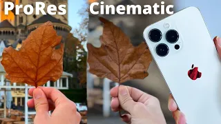 iPhone 13 Camera: Pro Res vs Cinematic Mode vs Standard