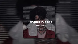 angels in tibet - amaarae ( sped up ) 𓆩♡𓆪 just breathe