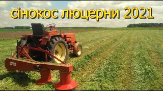 Сезон сінокосу 2021! Косимо люцерну польською косаркою Tad Len 1.35м та трактором Т25