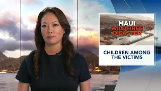 Children among Lahaina fire victims found during search and recovery operations