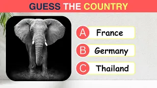 Can you Guess The National Animals of Countries | Flags and Countries name With National Animal