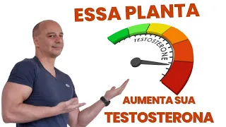 A Planta que Aumenta a TESTOSTERONA || Dr. Moacir Rosa