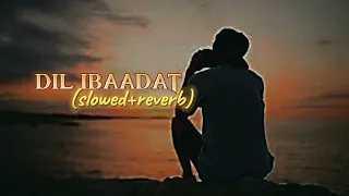 DIL IBAADAT KAR RAHA HAI LOFI SONG ( SLOWED + REVERB )