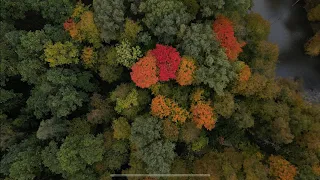 Литва Осень 🍂