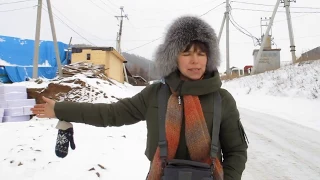 Борьба жителей Листвянки против китайского нашествия.