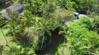 (Drone) Las Terrenas, Samana, Dominican Republic