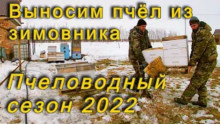 Зимовка пчёл 2022! Пчеловодный сезон 2022 г. начался с выставки пчёл из зимовника.