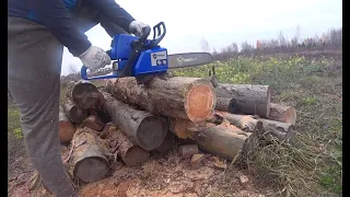 Holzfforma G255 Тест на дубі і сосні