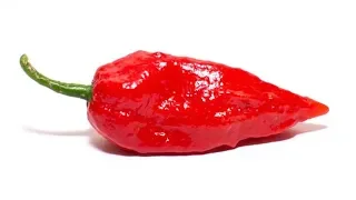 r/Prorevenge Tricked Into Eating GHOST CHILI PEPPERS!